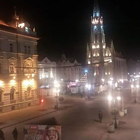 Biljana Novi Sad