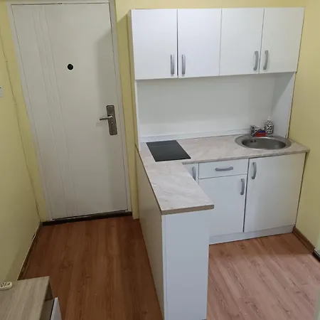 Apartment Biljana